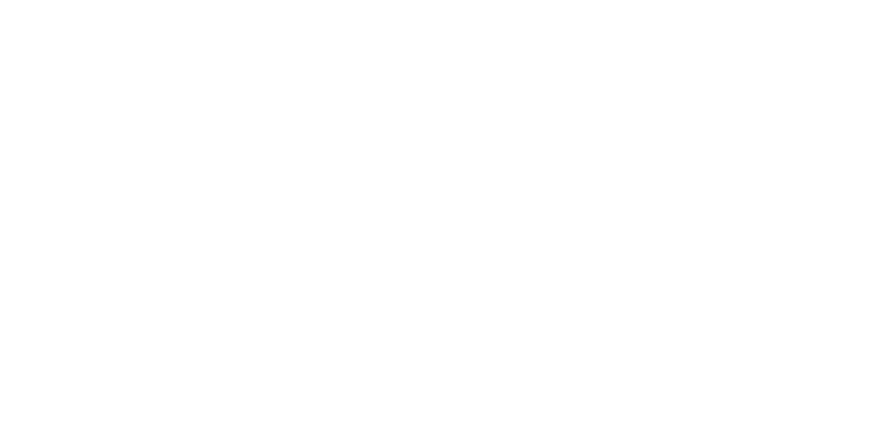 HNY Shoes logosu
